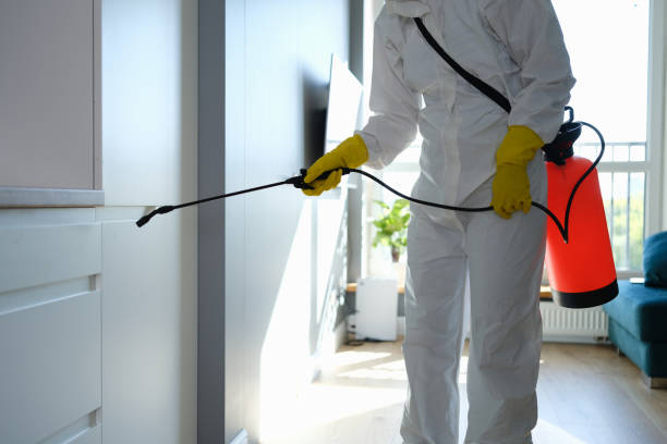 Professional Mold Removal in Jenkins, KY